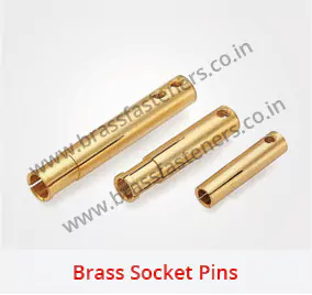 Brass Socket Pins